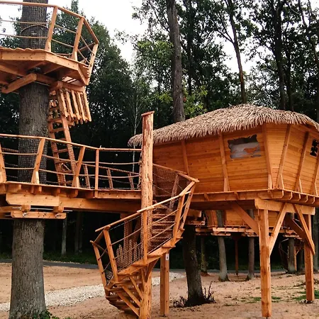 Holiday home Treehouse 1 By Interhome